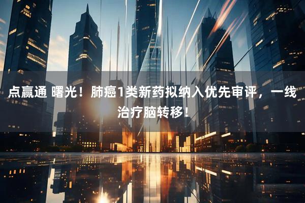 点赢通 曙光！肺癌1类新药拟纳入优先审评，一线治疗脑转移！